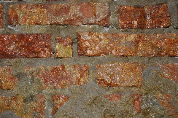 Wet brick wall.
