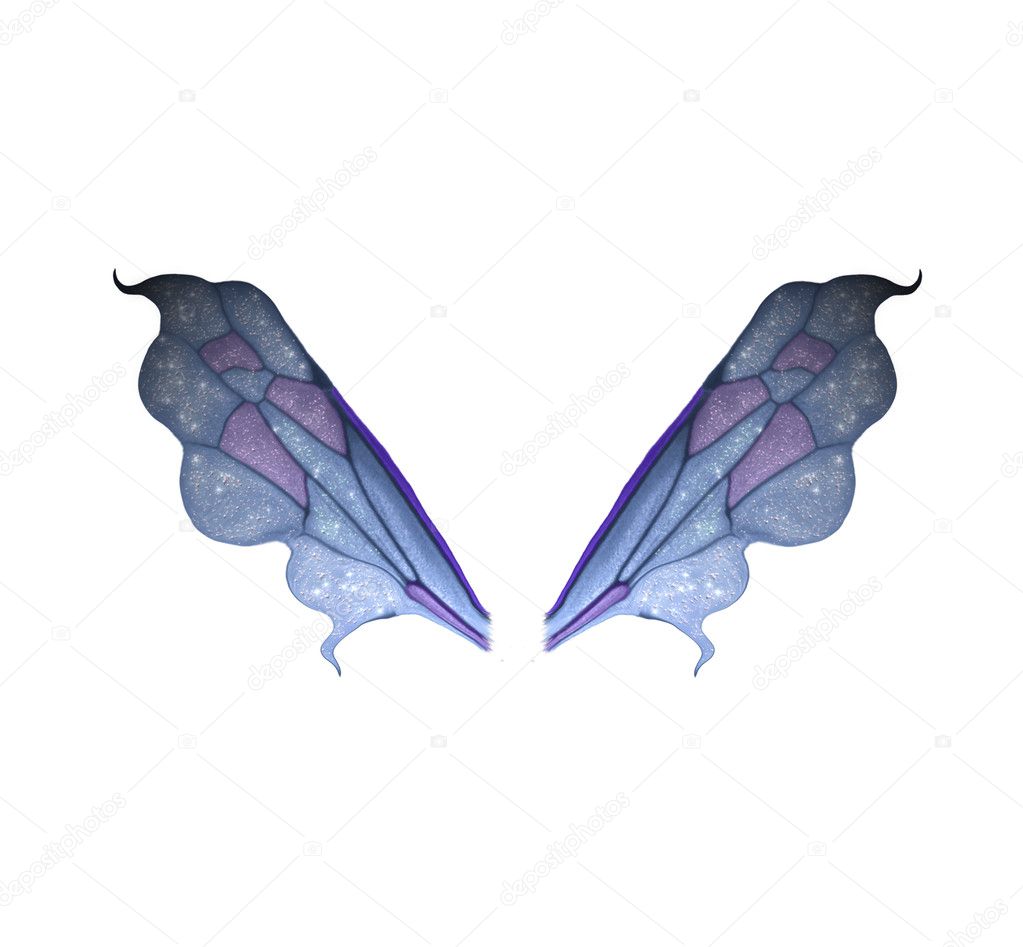 wings+|图库照片08рашидхайд