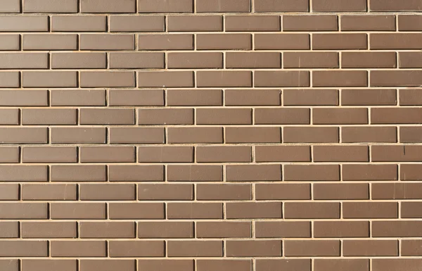 Modern brick wall in a bright sunny day as background