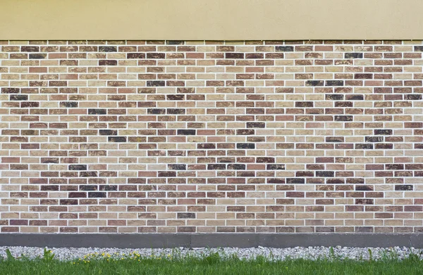 Wall from the made old brick with green grass and yellow flowers