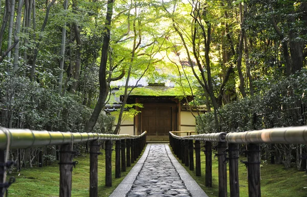 Approach road to the Koto-in temple, Kyoto, Japan