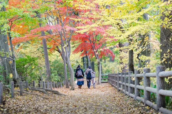 People walking in colorful autumn forest