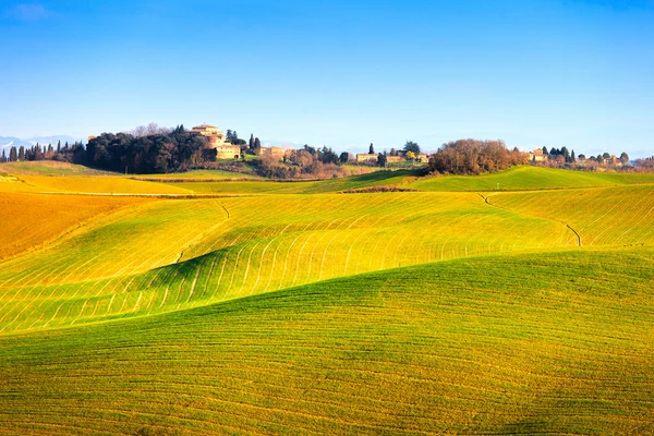 Tuscany, Crete Senesi green fields and rolling hills landscape,