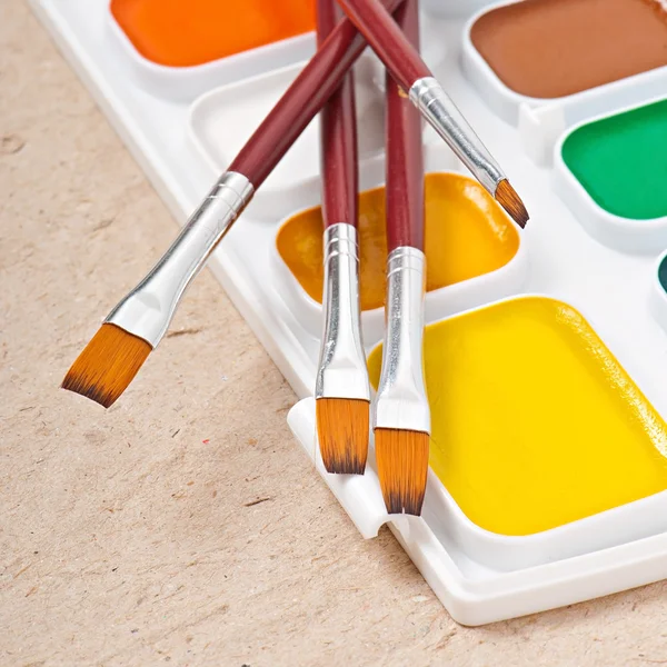 Watercolor paints and brushes for painting