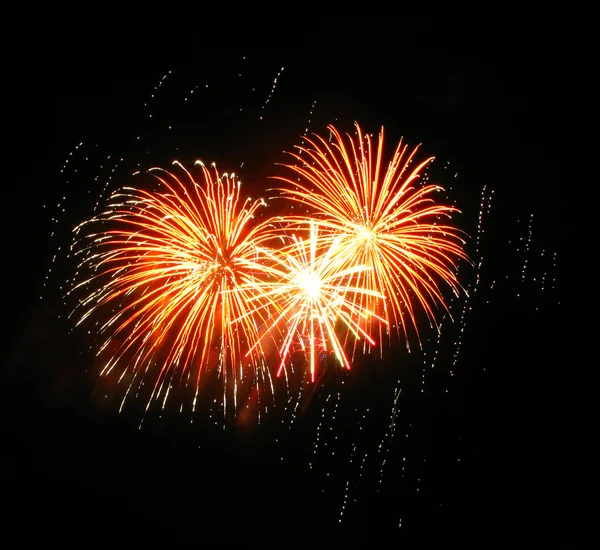 Colorful firework — Stock Photo #12759109