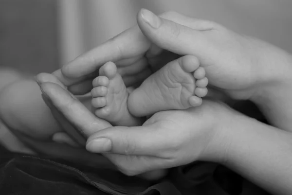 Baby\'s foot in mother hands