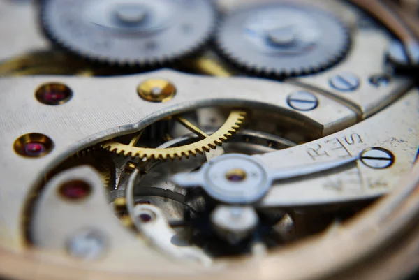 Macro shot of a watch workings