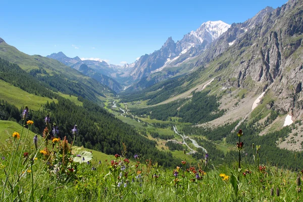 Ferret Valley and Mont Blanc panoramic view