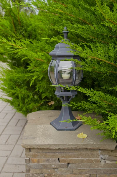 Small lamp in park