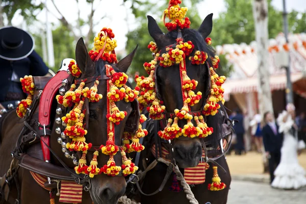 Horses decked in the horse fair in Sevilla, Spain