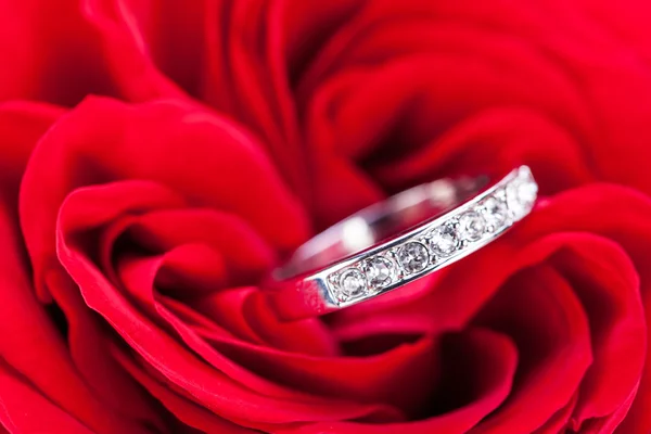 Diamond engagement ring in the heart of a red rose