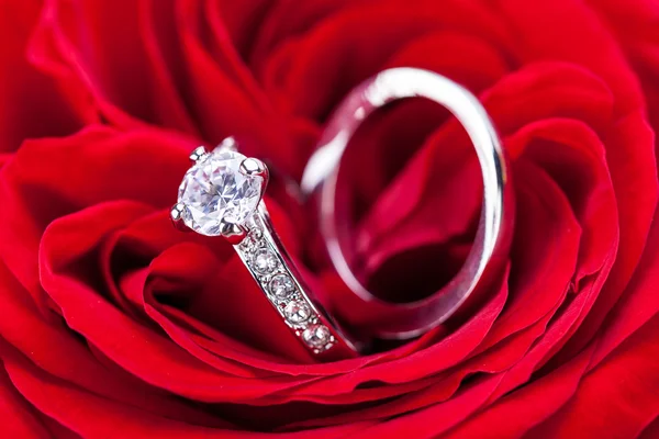 Diamond engagement ring in the heart of a red rose