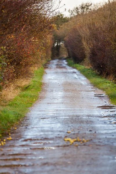 Street landscape