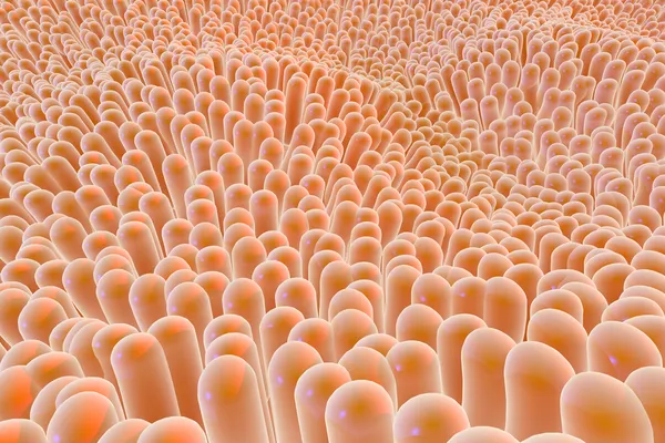 Organic Microscopic Tissue Fibers