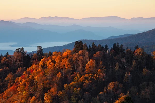 Sunrise at Smoky Mountains