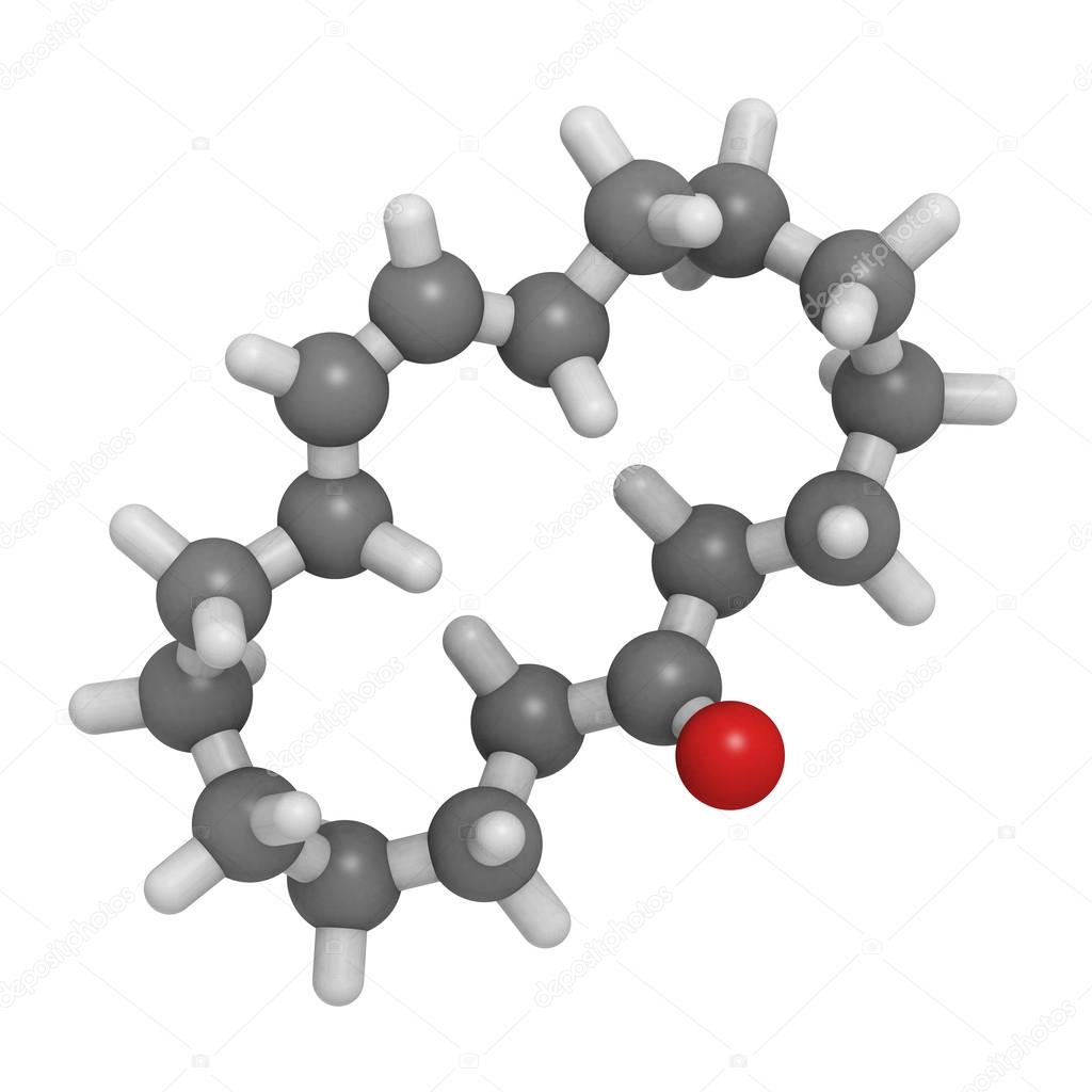 Escentric Molecules Perfumes