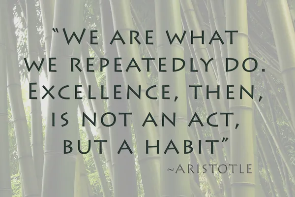 Excellence is habit
