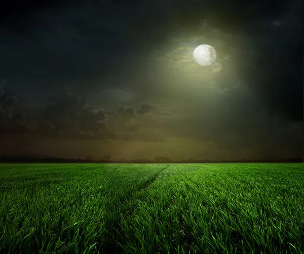 Rural night with moon