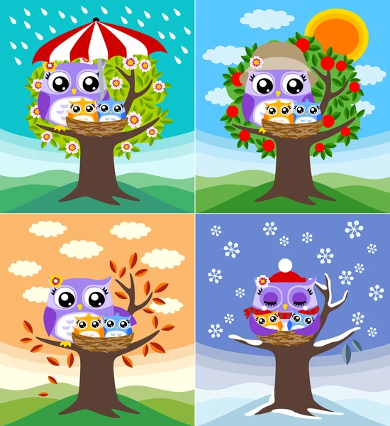 Owls in four seasons