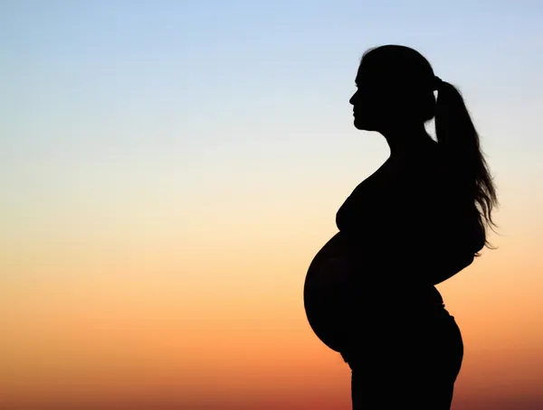 Pregnant Woman Side Profile Silhouette