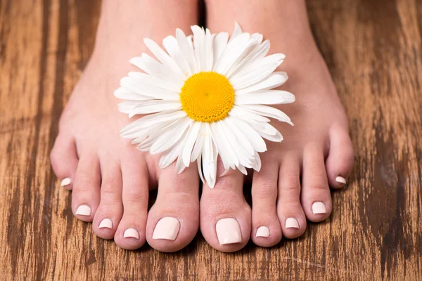 Female feet with spa pedicure and flower