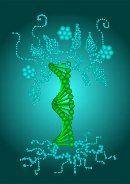 Abstract model of the DNA