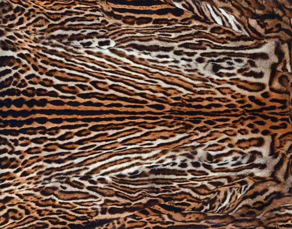 Real leopard skin