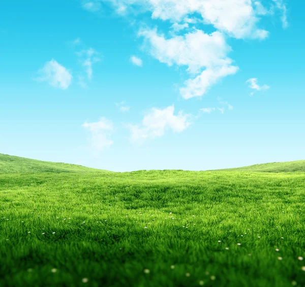 Blue sky and grass sunburst background Royalty Free Vector