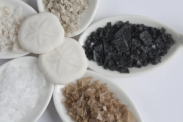 Colorful Natural Flaked Sea Salt with Sand Dollars