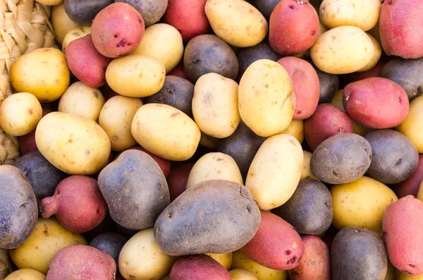 Colorful fresh potatoes on display