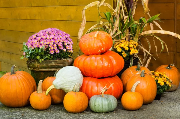 Fall decorations of pumpkins and flowers