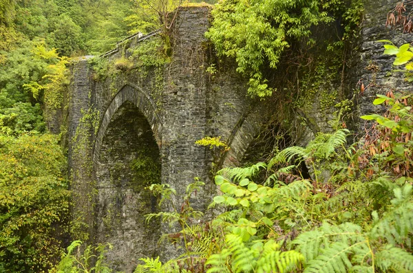 Ancient bridge encased in foliage on the Isle of Bute in Scotland