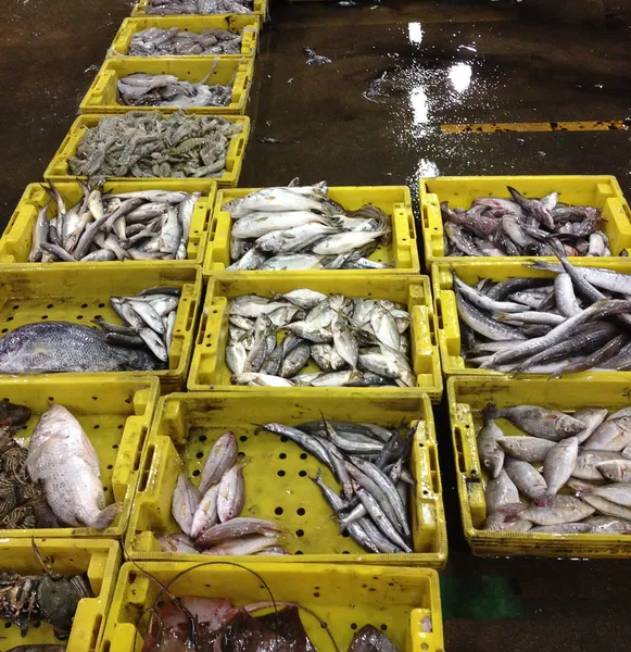 Marine fish market