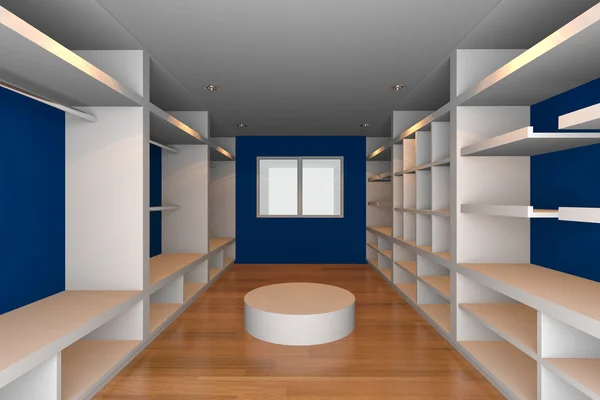 Walk-in closet with blue wall