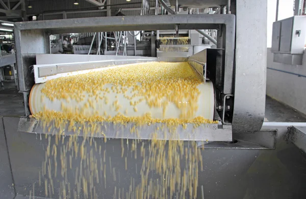 Corn processing factory, food industry