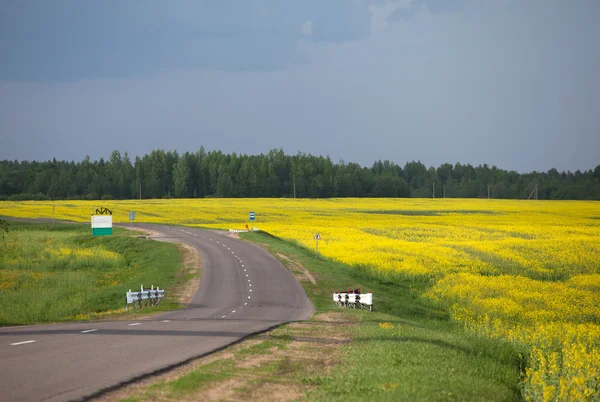 Empty road and yellow rape field