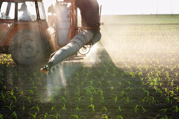 Tractor fertilizes crops