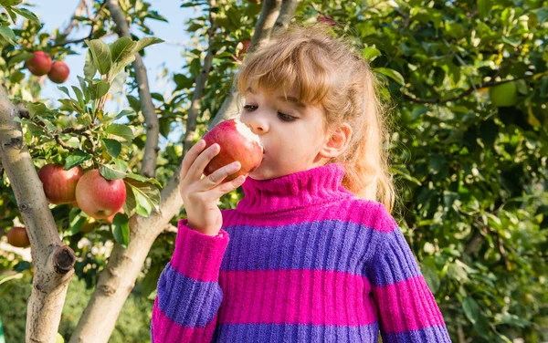 Little girl eat apples