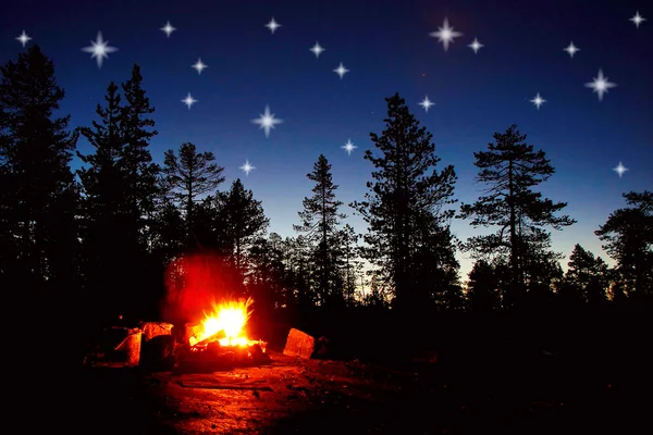 Fire burning at night in a forest with stars on sky