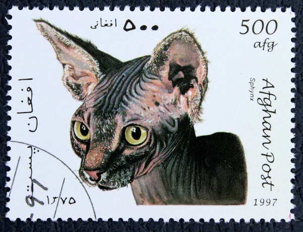 Postage stamp with the image of a cat Sphynx breed