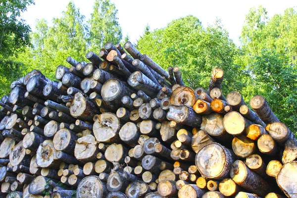 Logs in the logging