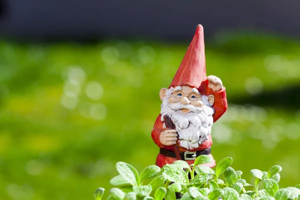 Little funny garden gnome is standing outside