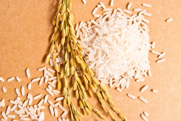 Ears of rice with white rice on beige background, plane view