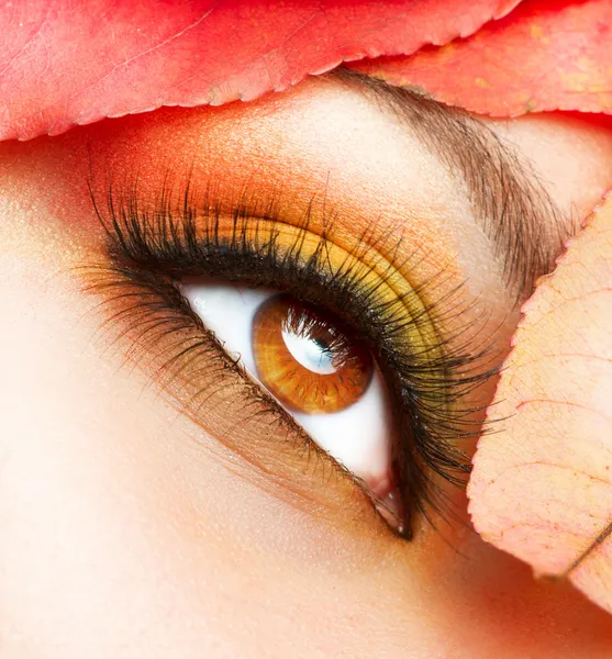 Autumn Makeup. Fall Make-up Closeup