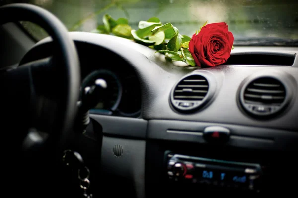 Rose on a car dashboard