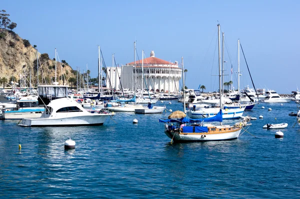 Moored Yachts Santa Catalina Island