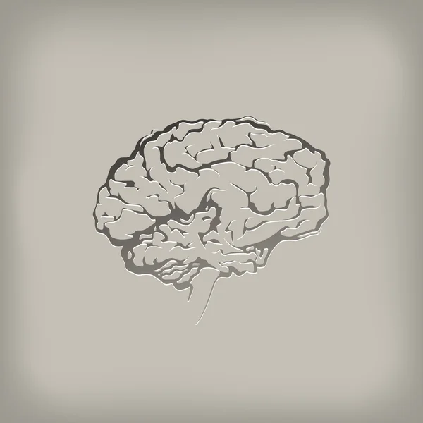 Brain. Vector format