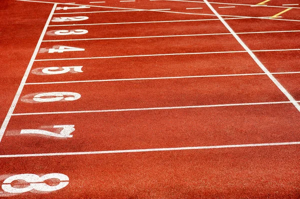 Eight runner tracks in a sport stadium