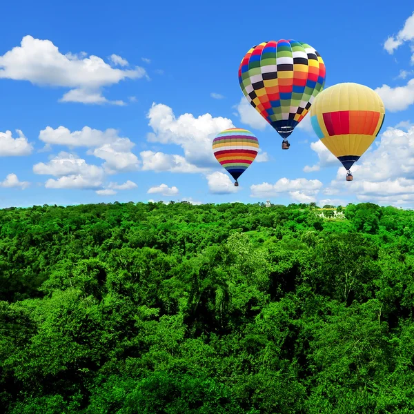 Colorful hot air balloons flying high