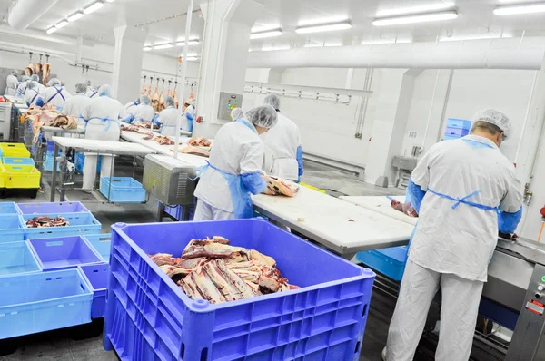 Cutting meat in a meat factory